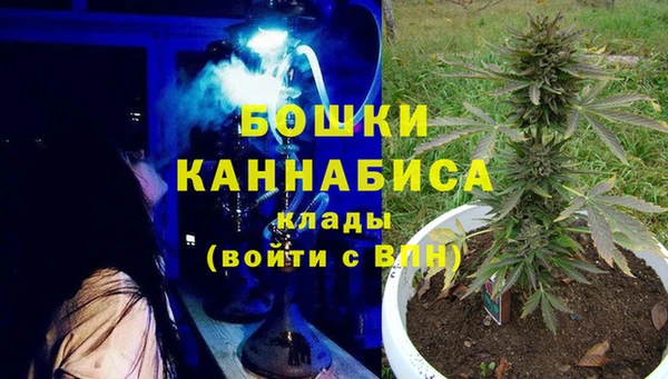 спиды Богородск