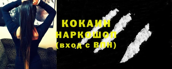 соль ск Богородицк