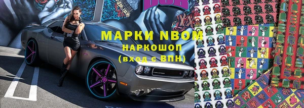 кокс Белокуриха