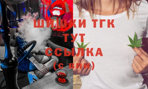 соль ск Богородицк