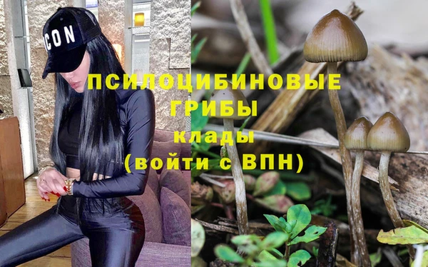прущий лед Белоозёрский