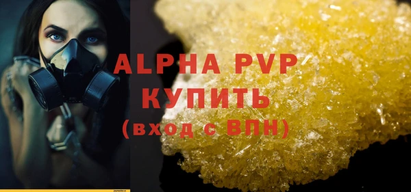 спиды Богородск